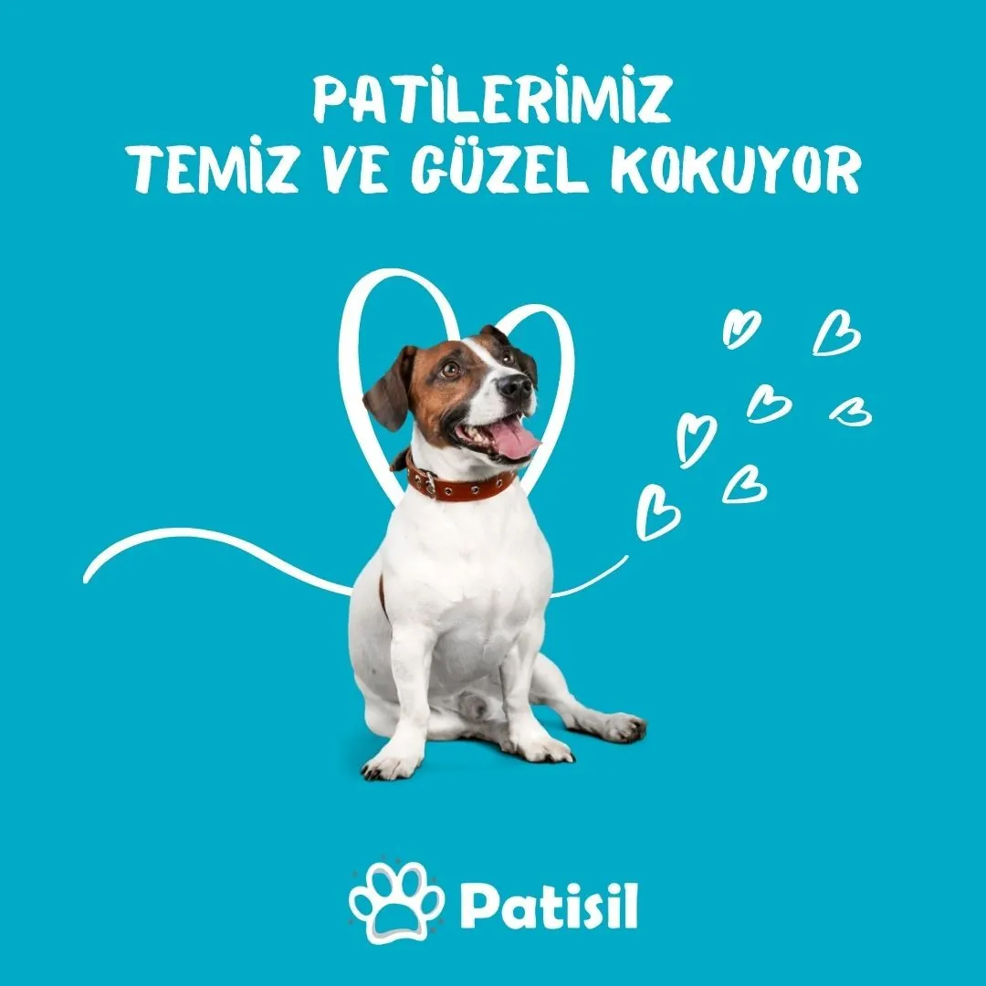 Patisil Petshop Dağıtım