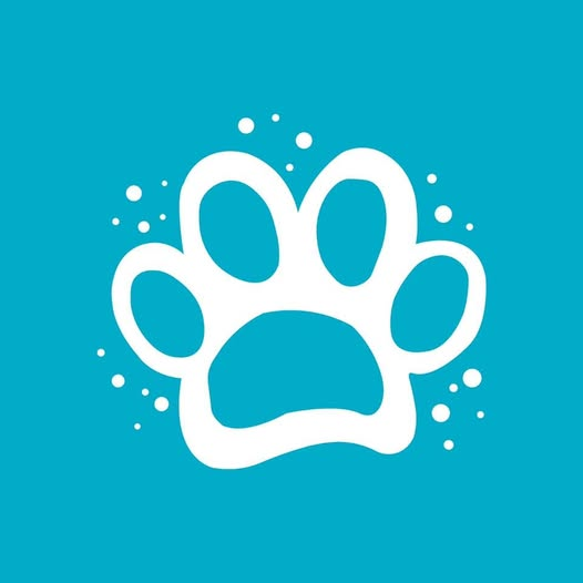 Patisil Logo